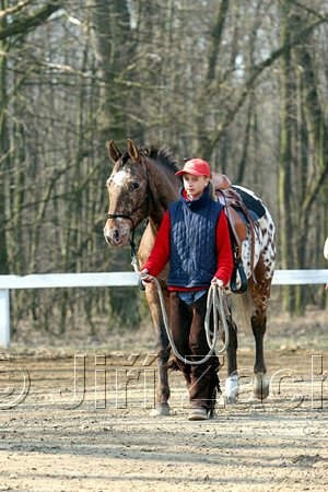 IMG_0722web.jpg