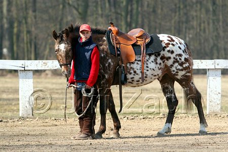 IMG_0730web.jpg
