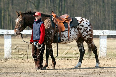 IMG_0732web.jpg