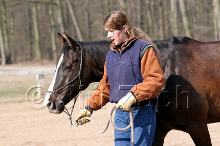 IMG_0734web.jpg