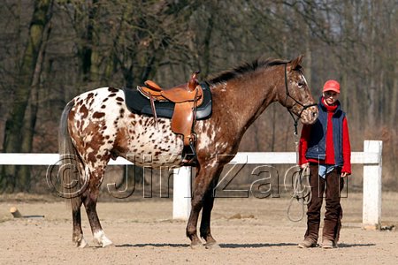 IMG_0737web.jpg