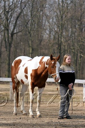 IMG_0740web.jpg