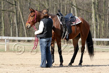 IMG_0745web.jpg
