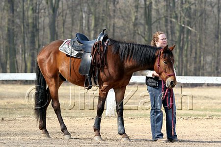 IMG_0753web.jpg