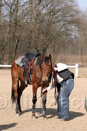 IMG_0761web.jpg