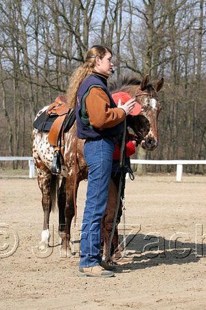 IMG_0766web.jpg