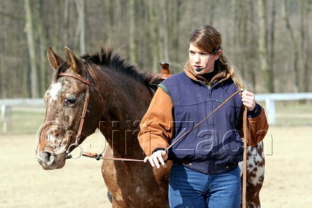 IMG_0774web.jpg