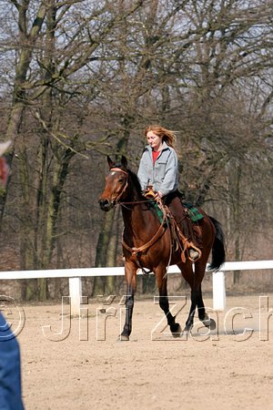 IMG_0783web.jpg