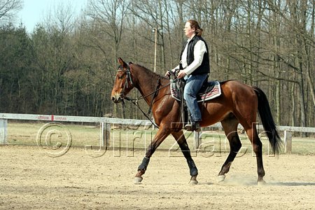 IMG_0787web.jpg