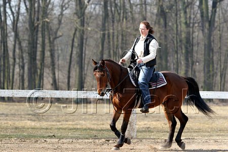 IMG_0791web.jpg
