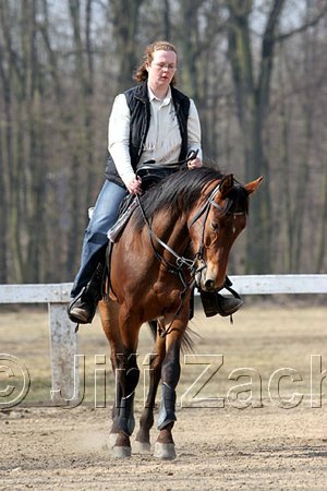 IMG_0792web.jpg