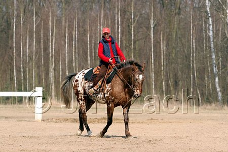 IMG_0803web.jpg