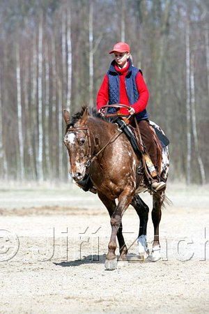 IMG_0804web.jpg