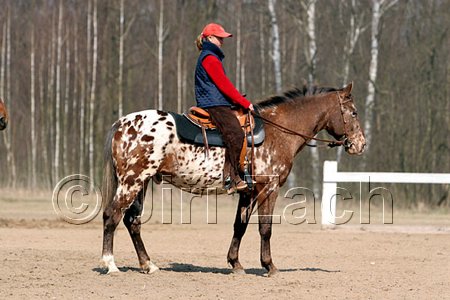 IMG_0805web.jpg