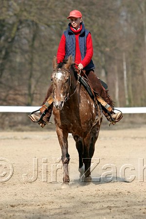 IMG_0808web.jpg