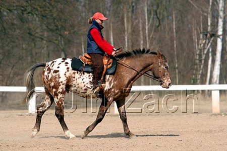 IMG_0810web.jpg