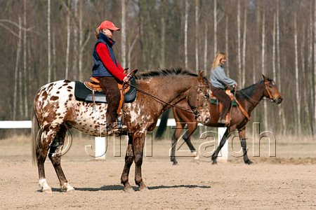 IMG_0812web.jpg
