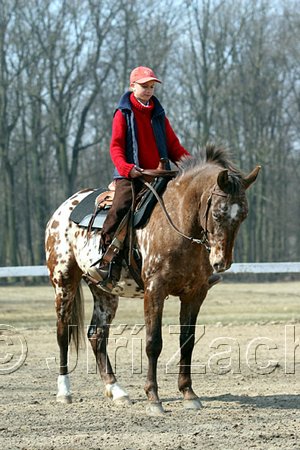 IMG_0831web.jpg