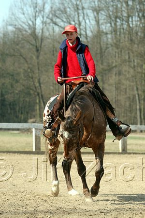 IMG_0835web.jpg