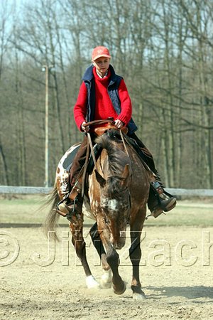 IMG_0837web.jpg