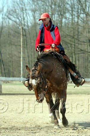 IMG_0839web.jpg
