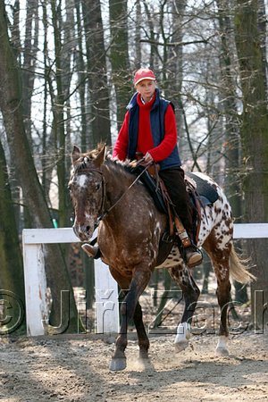 IMG_0841web.jpg