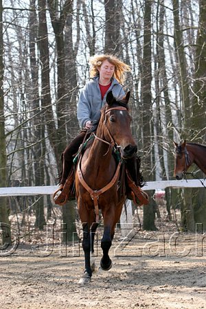 IMG_0843web.jpg