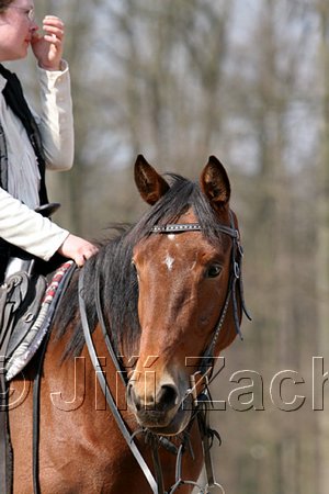 IMG_0848web.jpg