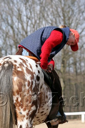IMG_0851web.jpg