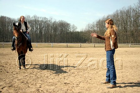 IMG_0875web.jpg