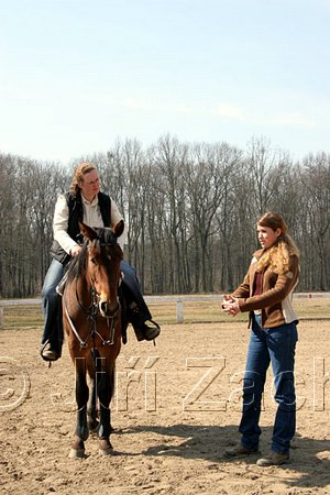 IMG_0878web.jpg