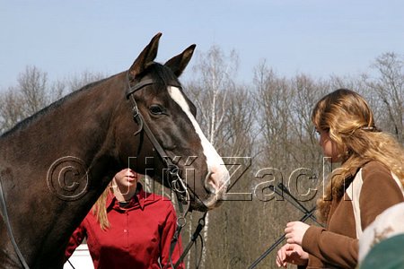 IMG_0893web.jpg