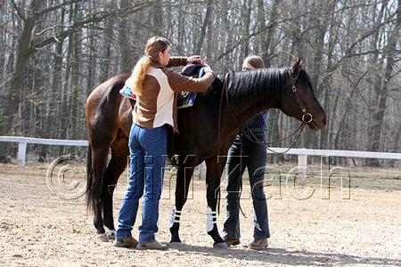 IMG_0900web.jpg