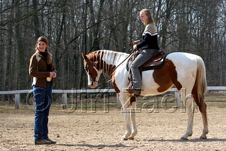 IMG_0906web.jpg