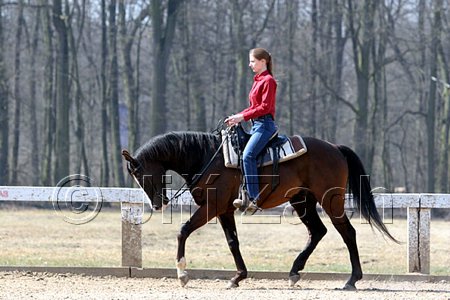 IMG_0912web.jpg