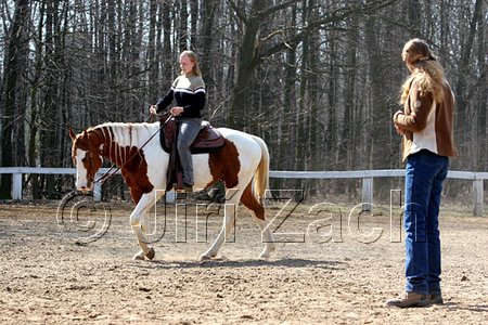 IMG_0913web.jpg