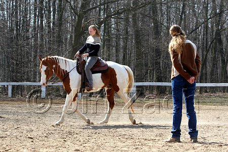 IMG_0916web.jpg