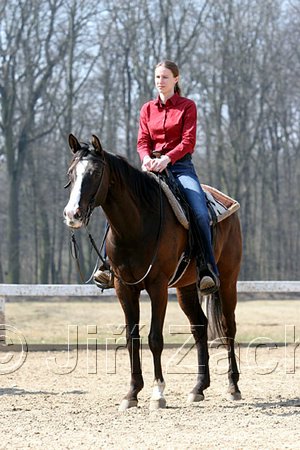 IMG_0941web.jpg