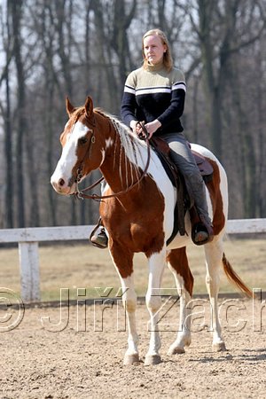 IMG_0944web.jpg