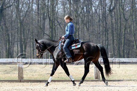IMG_0947web.jpg