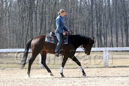 IMG_0951web.jpg