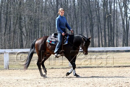 IMG_0952web.jpg