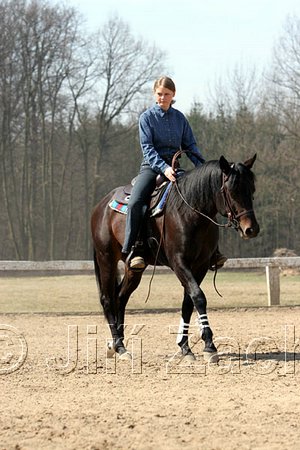 IMG_0956web.jpg