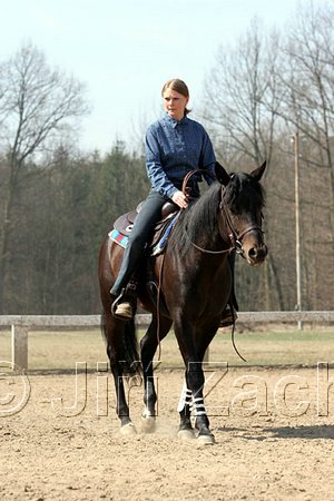 IMG_0957web.jpg