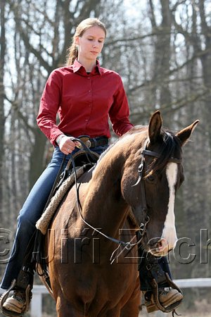 IMG_0976web.jpg