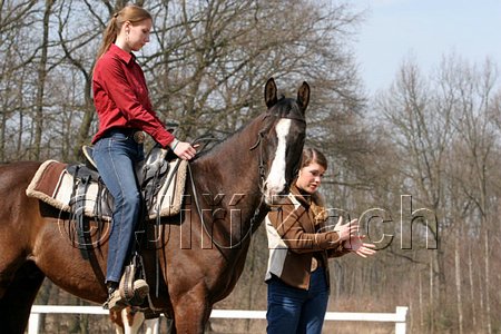 IMG_0984web.jpg