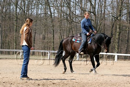 IMG_0990web.jpg