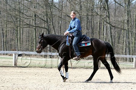 IMG_0996web.jpg