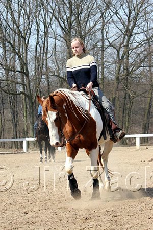 IMG_0999web.jpg