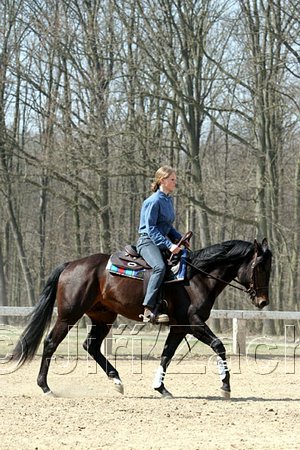 IMG_1005web.jpg